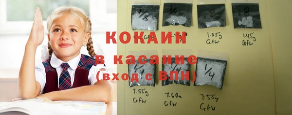 молекула духа Волоколамск
