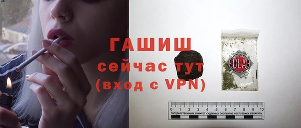 молекула духа Волоколамск