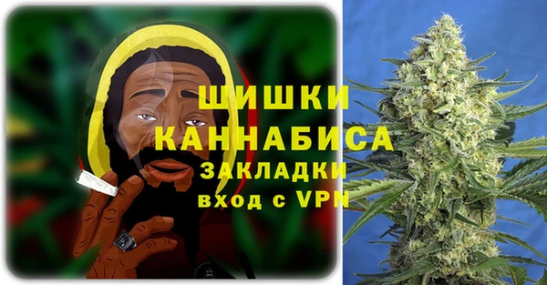молекула духа Волоколамск