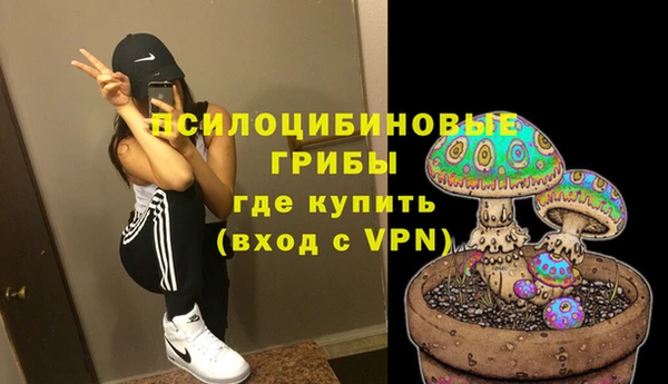 молекула духа Волоколамск